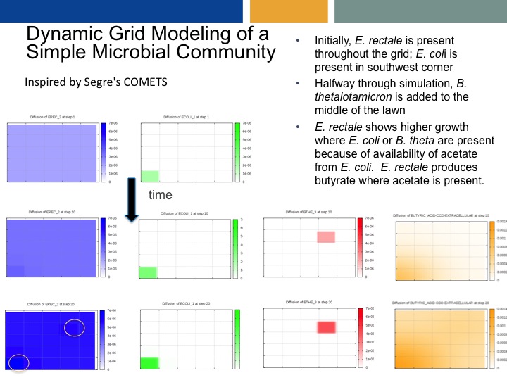 flux balance analysis tools